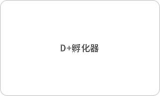 D+孵化器